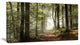 "Green Fall Forest With Sun Rays" Landscape Canvas Photo Print, 40"x20"