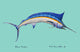 Betsy Drake Blue Marlin 30 Inch By 50 Inch Comfort Floor Mat