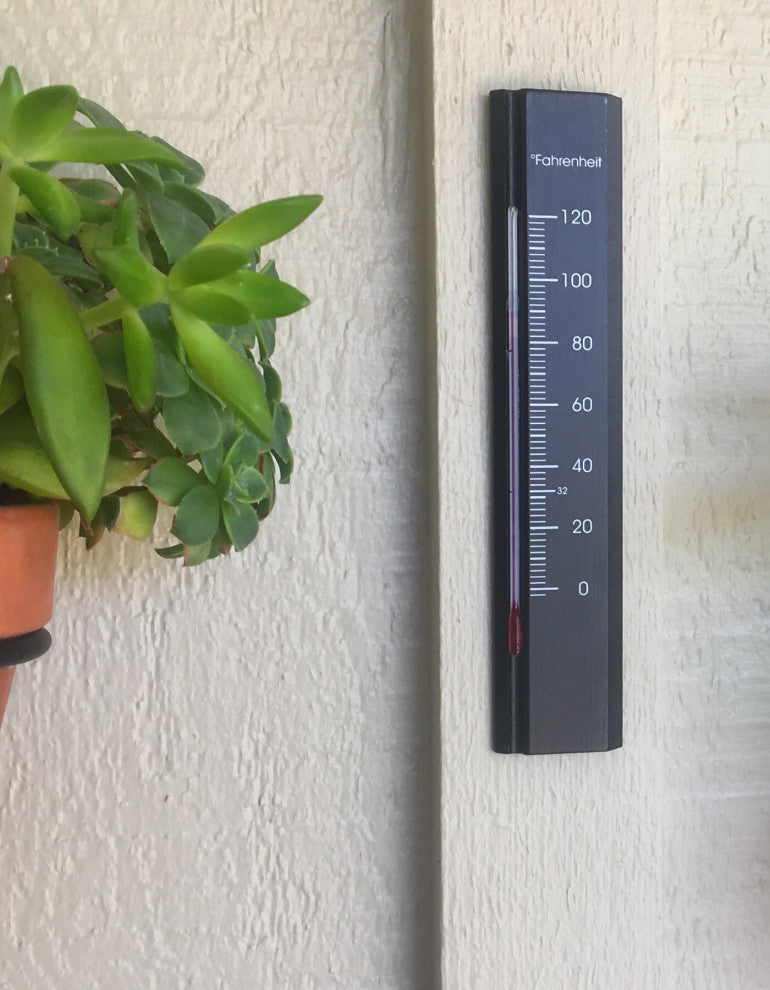 Wall Thermometer Beech Wood 7.8 inch, Black