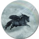 Pegasus In The Heaven, Animal Art Large Disc Metal Wall Art, 36"