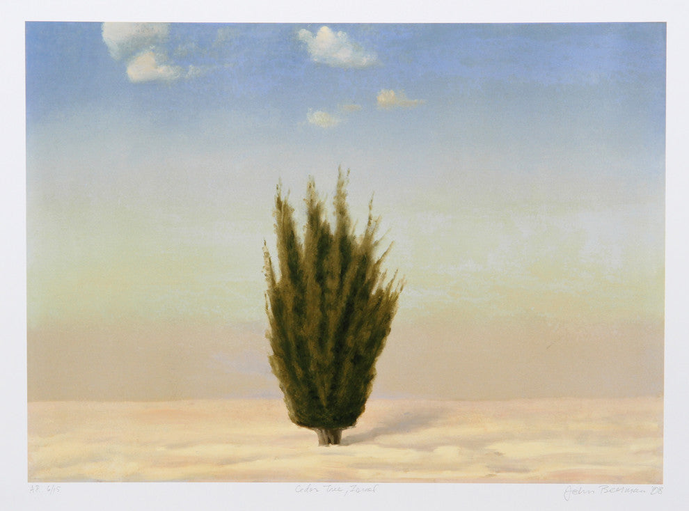 John Beerman "Cedar Tree, Israel" Lithograph
