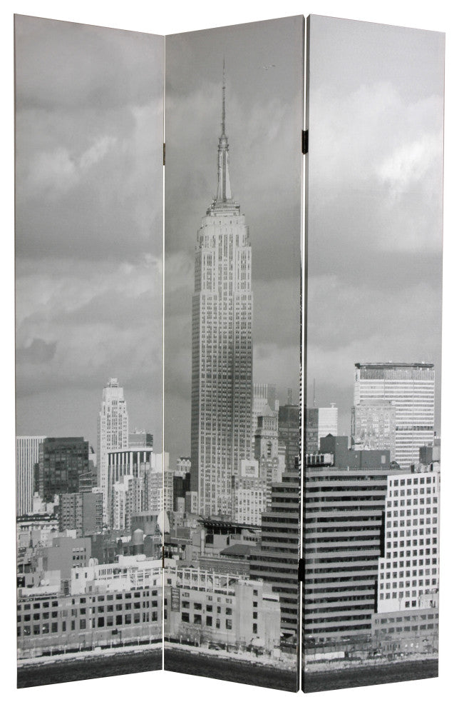 6' Tall Double Sided New York Scenes Room Divider