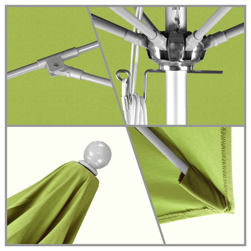 California Umbrella Venture Series, Macaw