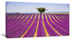 "Lavender And Lonely Tree Uphill" Landscape Wall Art Print, 40"x20"