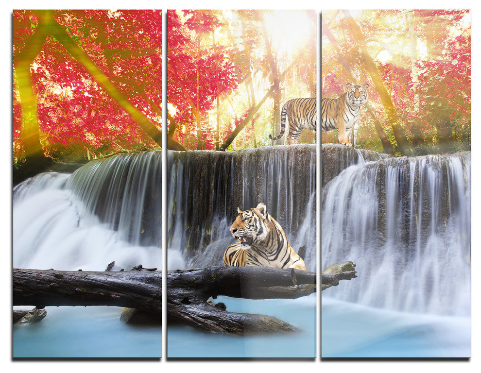 "Tiger in the Jungle" Photography Metal Wall Art, 3 Panels, 36"x28"