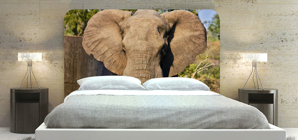 "Elephant" Headboard