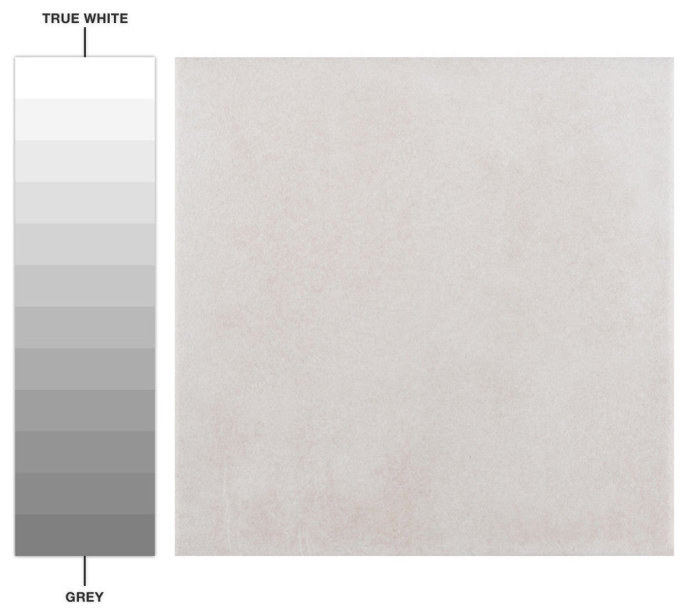 Matter Bone Porcelain Floor and Wall Tile