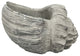 10" Cement Conch Planter