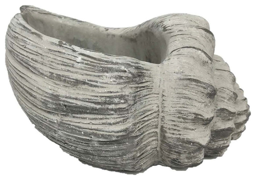 10" Cement Conch Planter