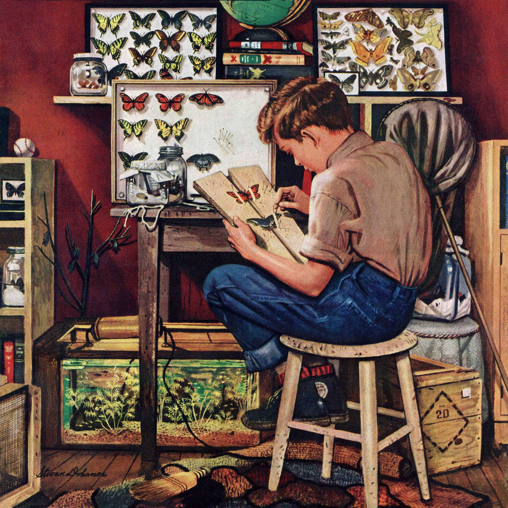 "The Collector" Painting Print on Canvas by Stevan Dohanos