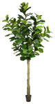 Vickerman 10' Potted Fiddle Tree 184Lvs, Tb180299