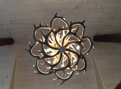 Whitetail Deer Tall Spruce Antler Chandelier Light, Extra Large, No Shades