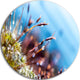 Abstract Moss Flowers In Summer Spring, Landscape Disc Artwork, 11"