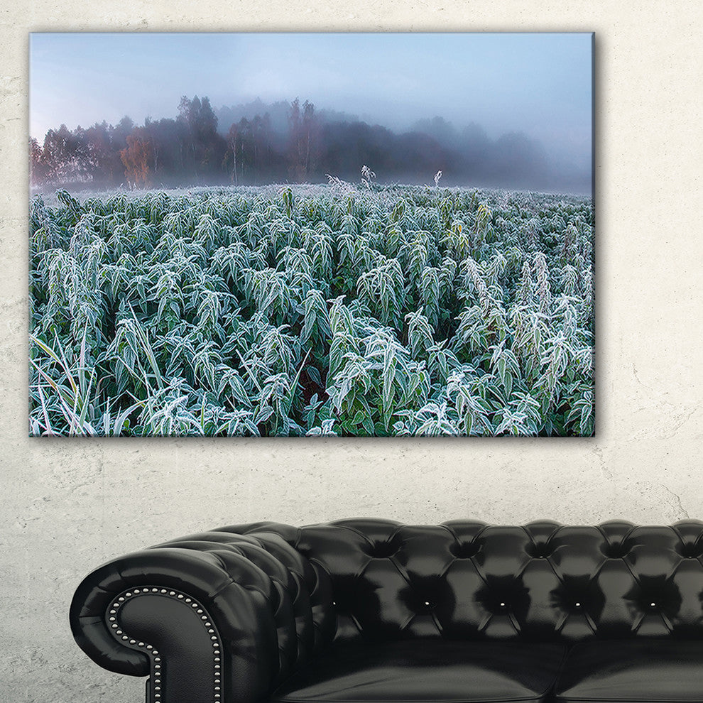 "Frozen Hemp Field in Autumn Morning" Landscape Wall Art, 1 Panel, 60"x28"