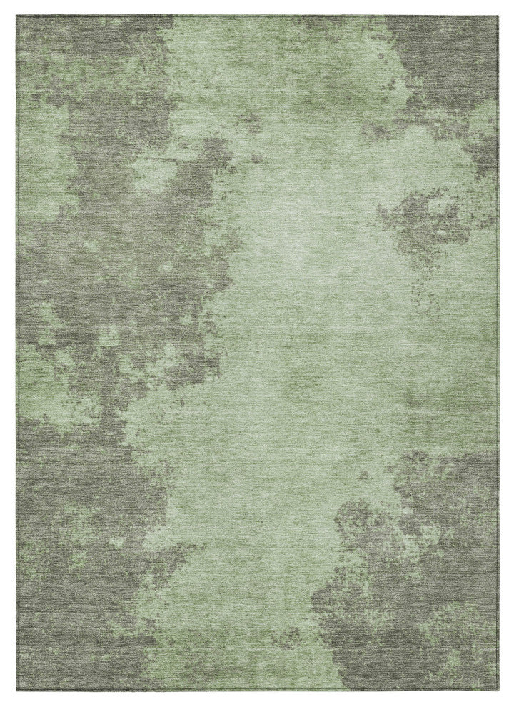 Machine Washable Indoor/Outdoor Chantille ACN1913 Aloe 10' x 14' Rug