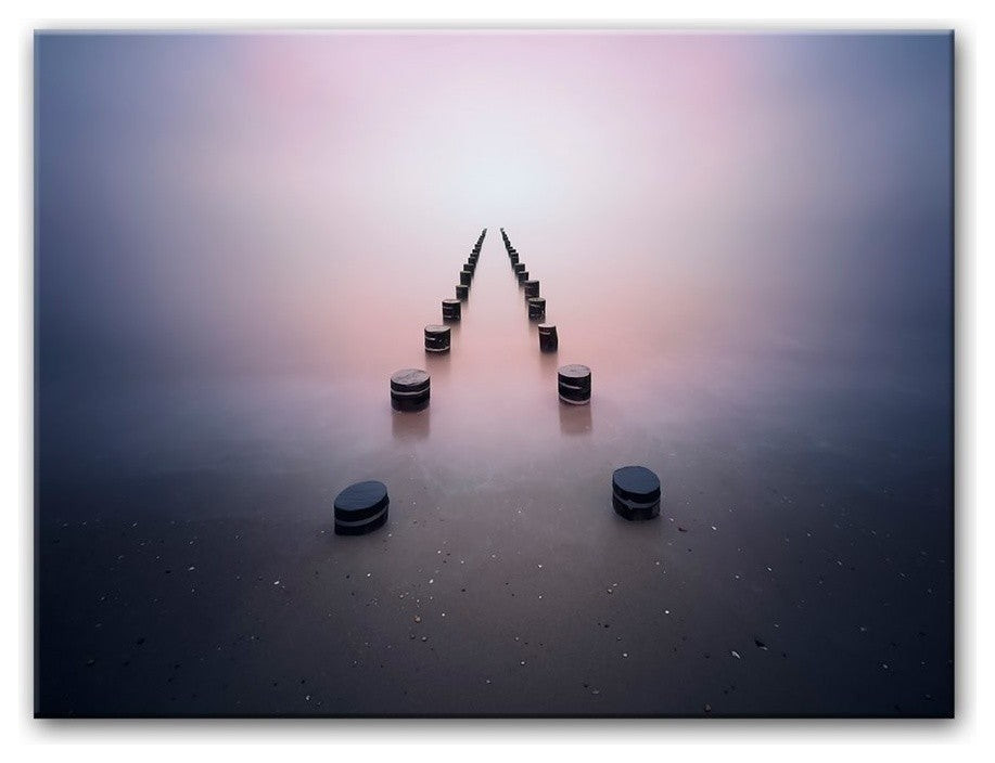 Alone in the Silence' Canvas Wall Decor