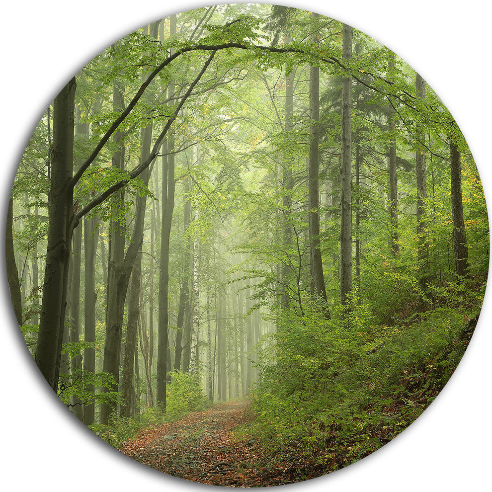 Early Green Fall Forest, Landscape Photo Disc Metal Wall Art, 36"