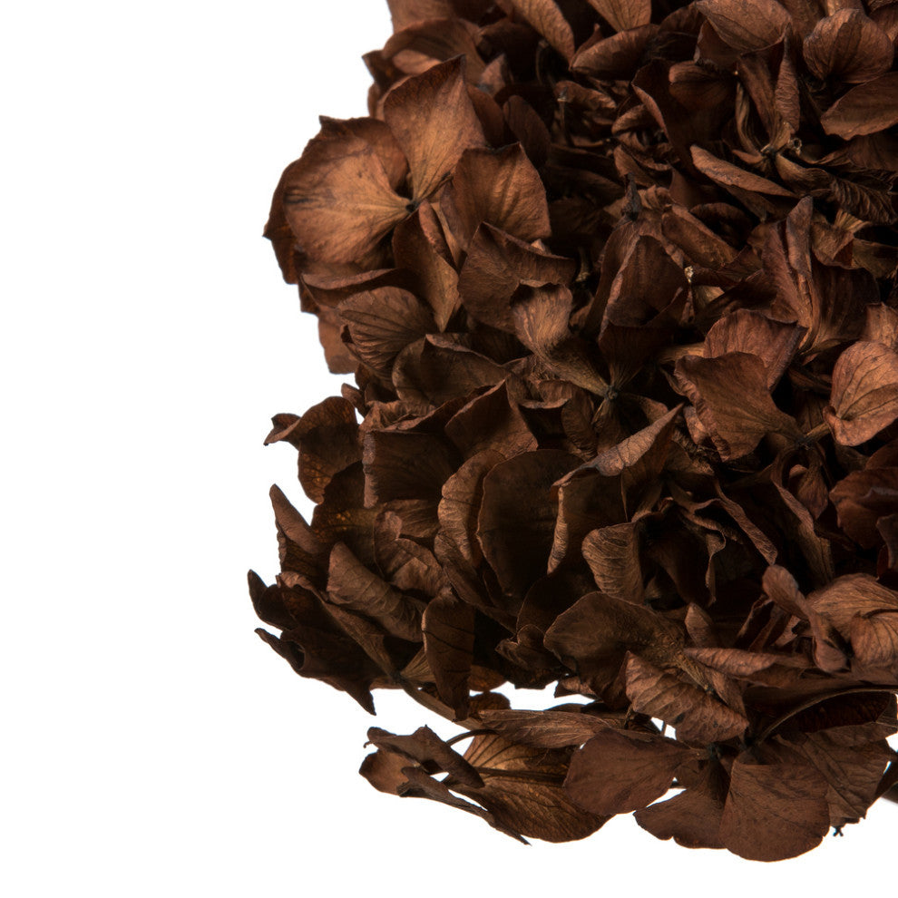 Vickerman Natural Botanicals 15 Hydrangea With Multiple Branch Segments