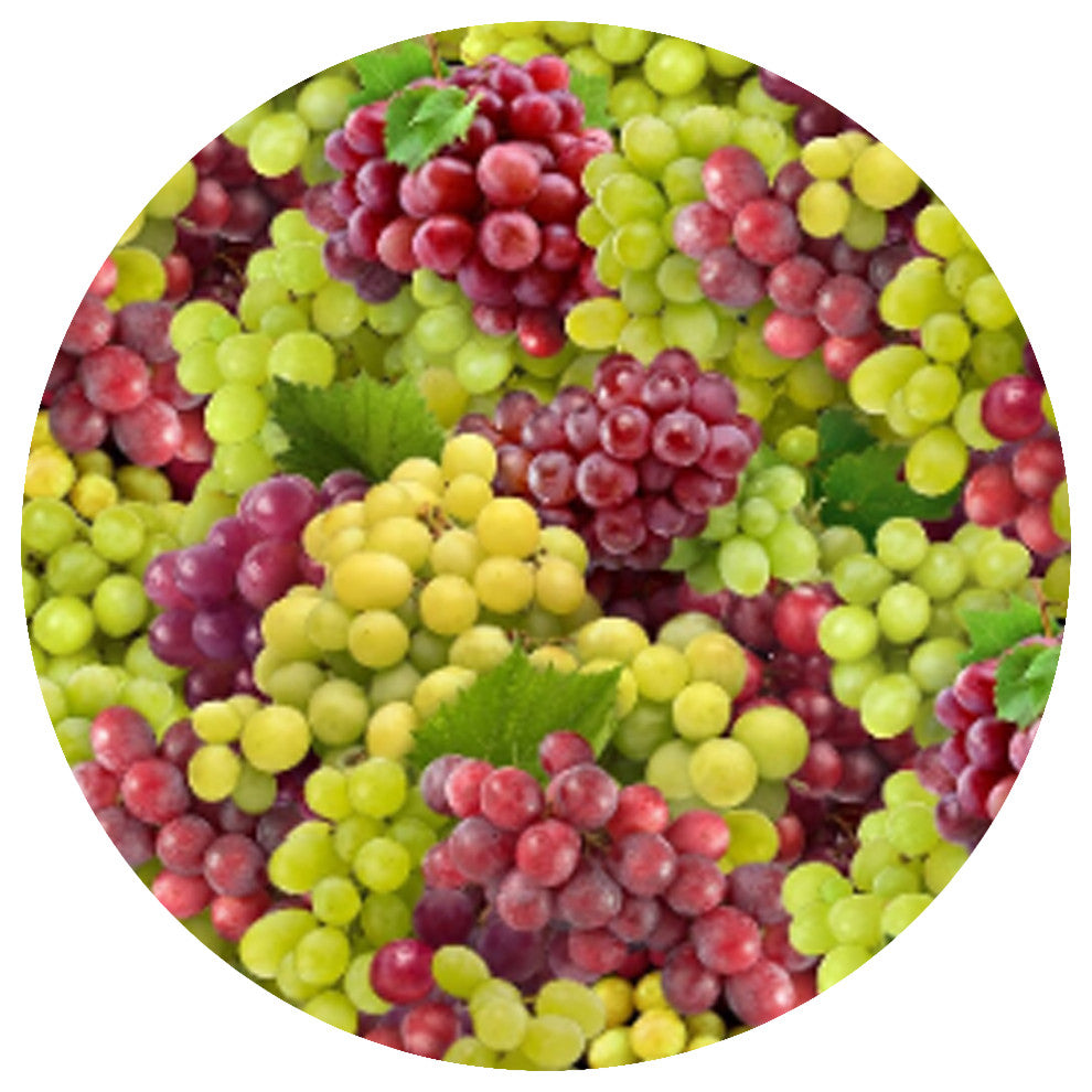 Andreas Grapes Trivet, 9" Square