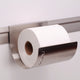 Toilet Paper Bin w/ no show wall rail, Stainless Steel, sterile