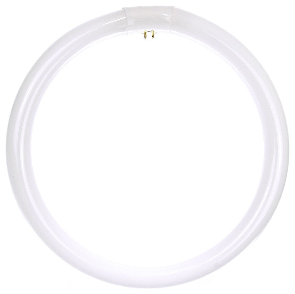 Sunlite 32 Watt T9 Circline, 4-Pin Base, Daylight