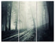 "Spooky Dark Forest With Fog" Photo Metal Wall Art, 3 Panels, 36"x28"