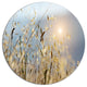 Typical Tuscany Sunset Italy, Landscape Disc Metal Wall Art, 36"