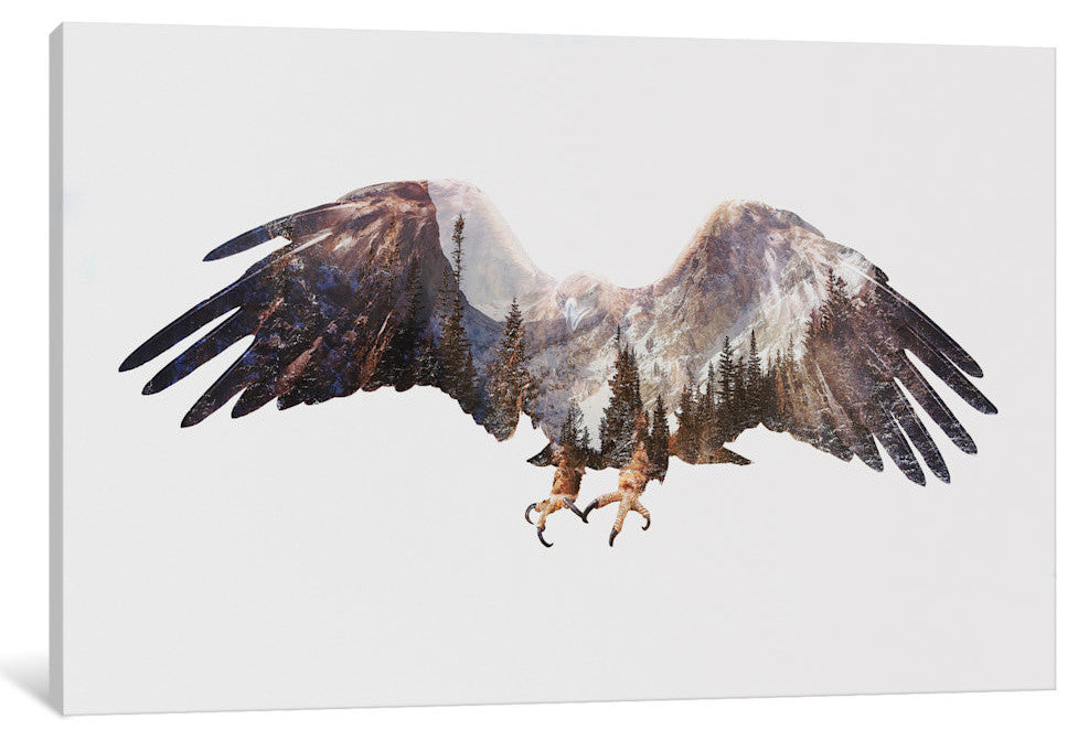 "Arctic Eagle" by Andreas Lie, 26x18x1.5"
