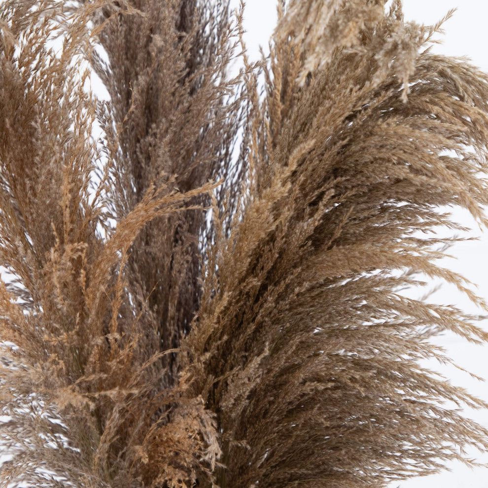 30" Dried Natural Pampas Arrangement, Ceramic Vase