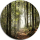 Green Fall Forest With Sun Rays, Landscape Photo Disc Metal Art, 23"