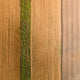 "Seeded Land" Print on Canvas by Karolis Janulis