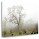 "Oak Tree - 62" By Alan Blaustein, Giclee Print on Gallery Wrap Canvas