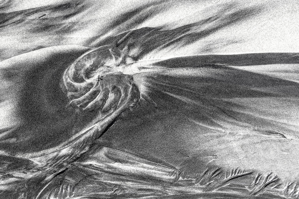 Sandprints Designer Series No.21, 18"x12"