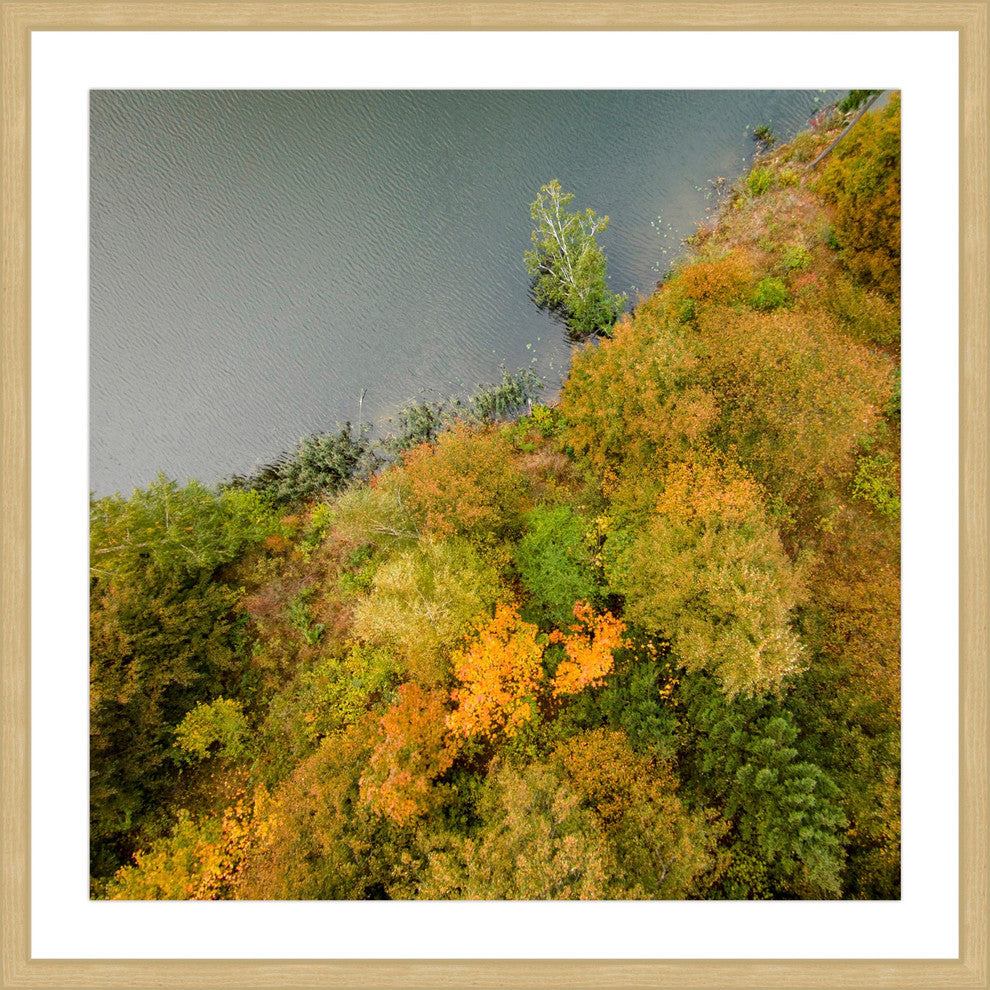 "Plant Wall" Framed Print by Karolis Janulis
