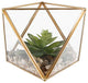 Glass Square Open Top Terrarium With Faux Succulents Garden, Md, 7"