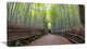 "Arashiyama Bamboo Path Japan" Forest Canvas Wall Art Print, 1 Panel, 60"x28"