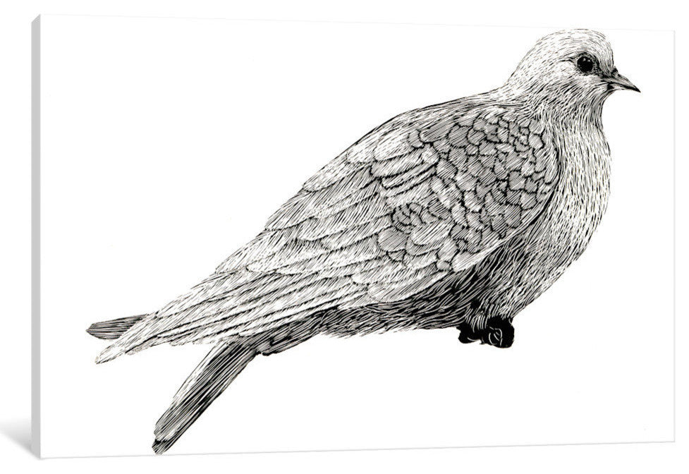 "Peace And Joy Dove Element" by Sara Zieve Miller, 40x26x1.5