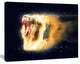 White Lion with Open Jaws, Animal Canvas Wall Art, 20"x12"