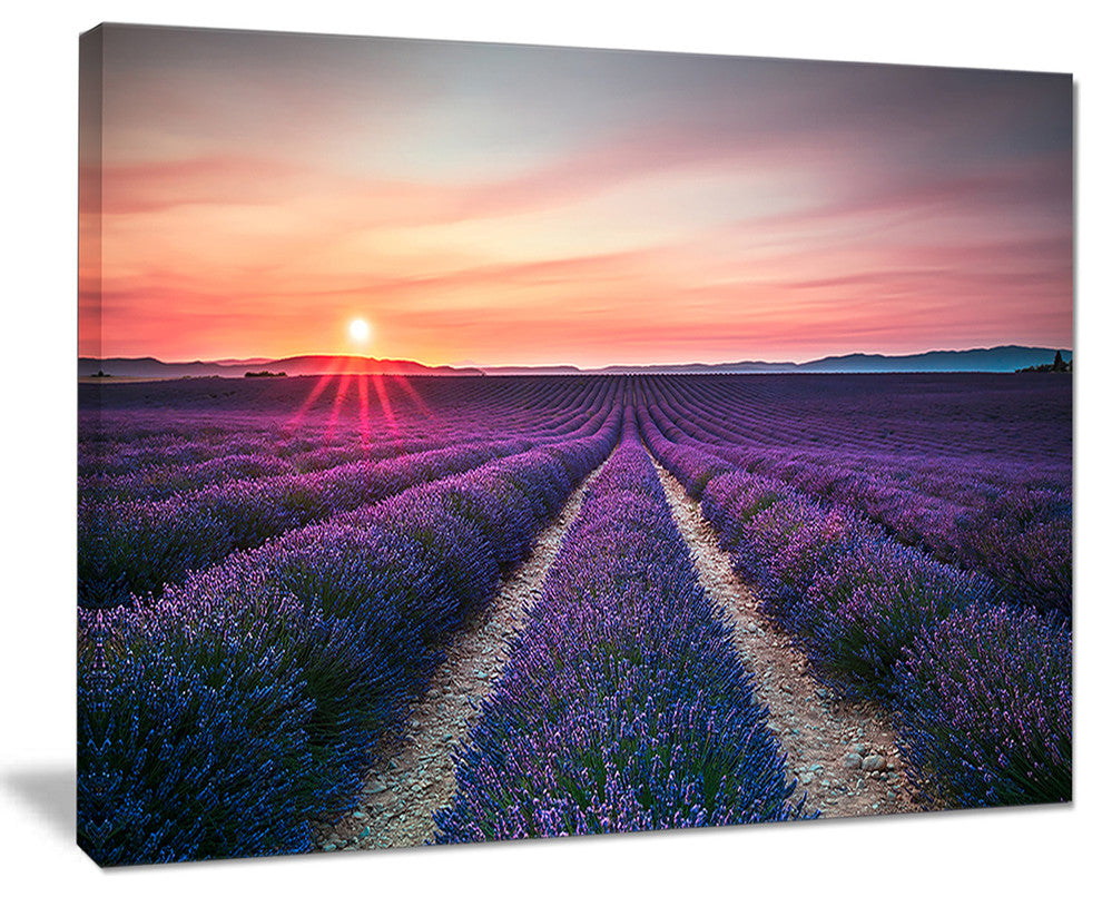 "Endless Rows of Lavender Flowers" Modern Landscape Wall Art, 40"x30"