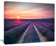 "Endless Rows of Lavender Flowers" Modern Landscape Wall Art, 40"x30"