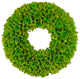 Green Woodchip Wreath