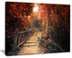 "Stairway Through Red Fall Forest" Landscape Photo Wall Art, 40"x30"