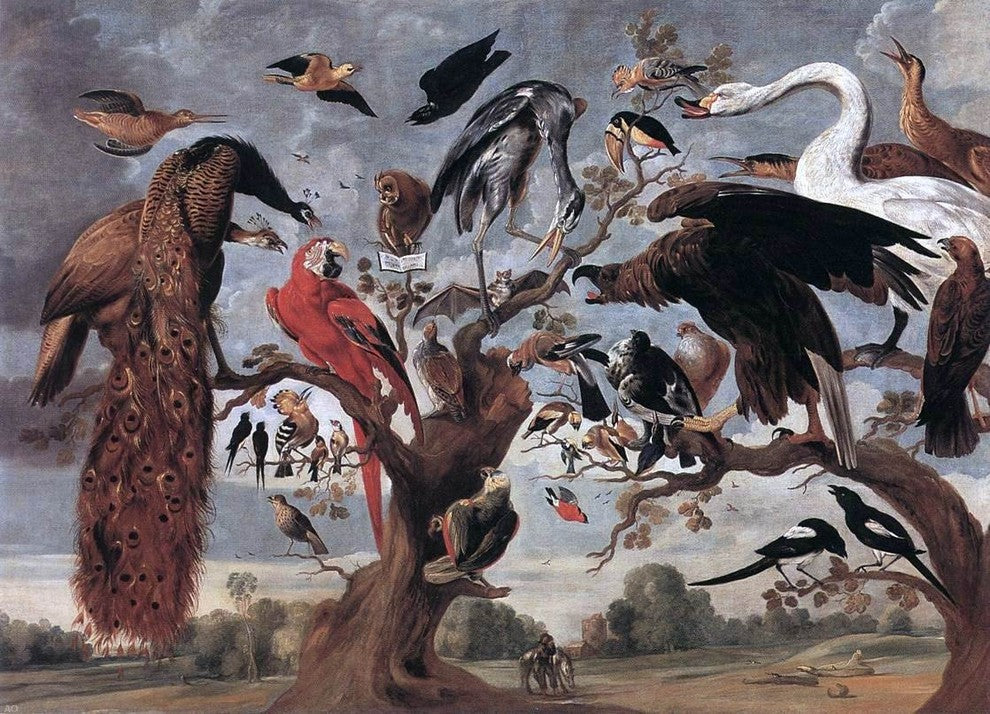 Jan Van I Kessel The Mockery of the Owl - 18" x 27" Premium Canvas Print