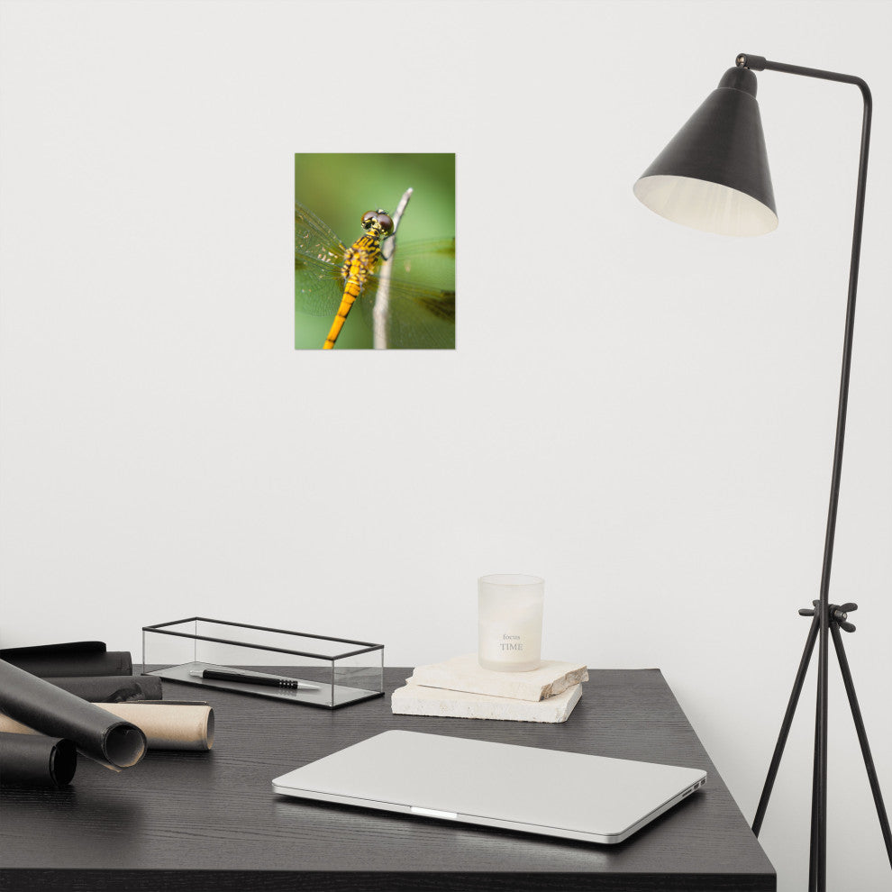 Dragonfly at Bombay Hook Wildlife Photography Unframed Wall Art Print, 8" X 10"