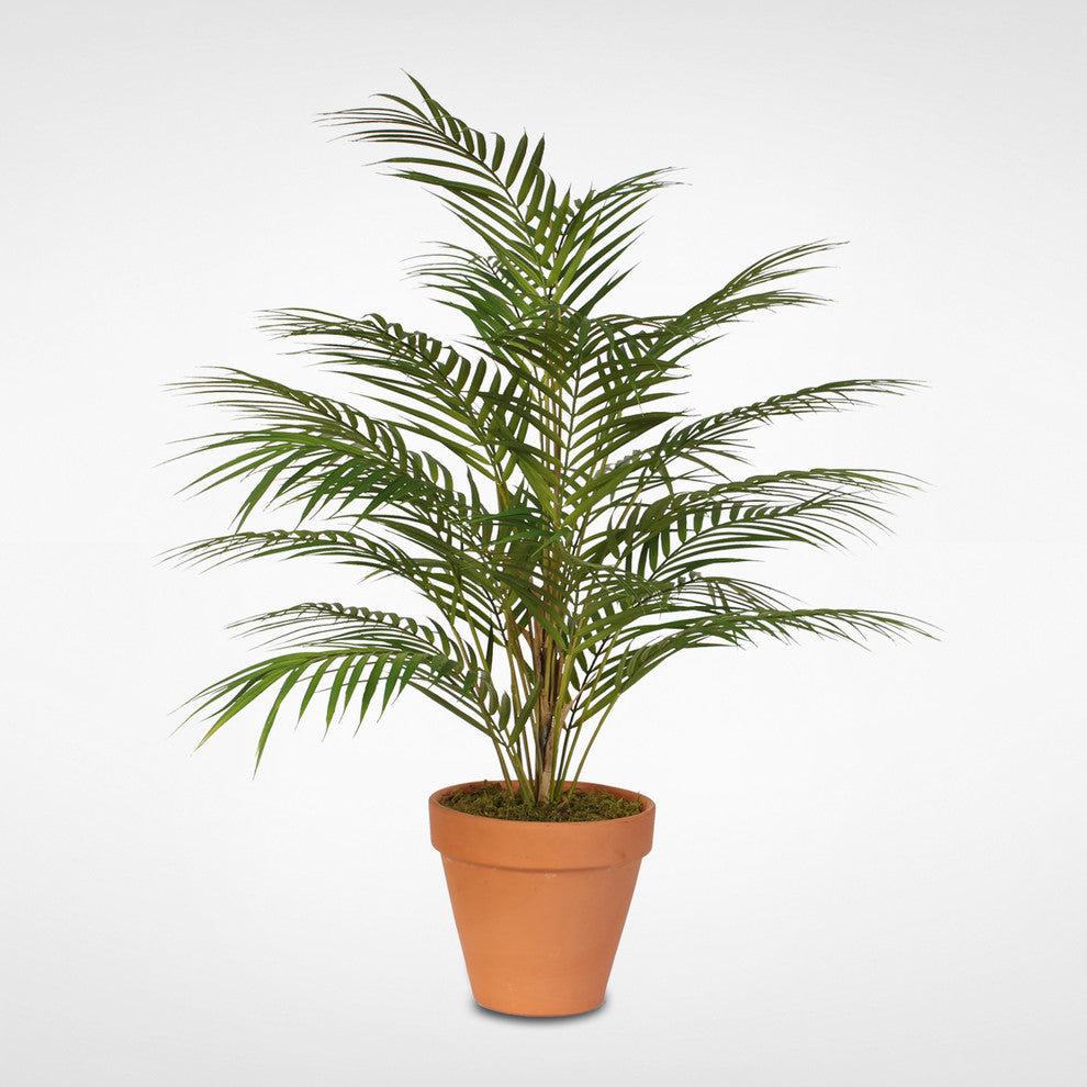 Real Touch Artificial Areca Palm Plant in a Small Clay Pot
