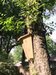 Angled Design Bird House