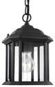 Generation Lighting 1-Light Outdoor Semi-Flush Convertible Pendant, Black