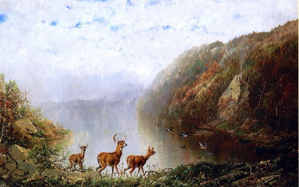 Herman Herzog Landscape with Deer and Ducks - 18" x 27" Premium Canvas Print