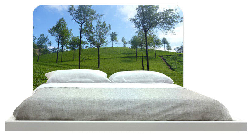 "Beautiful Trees" Headboard