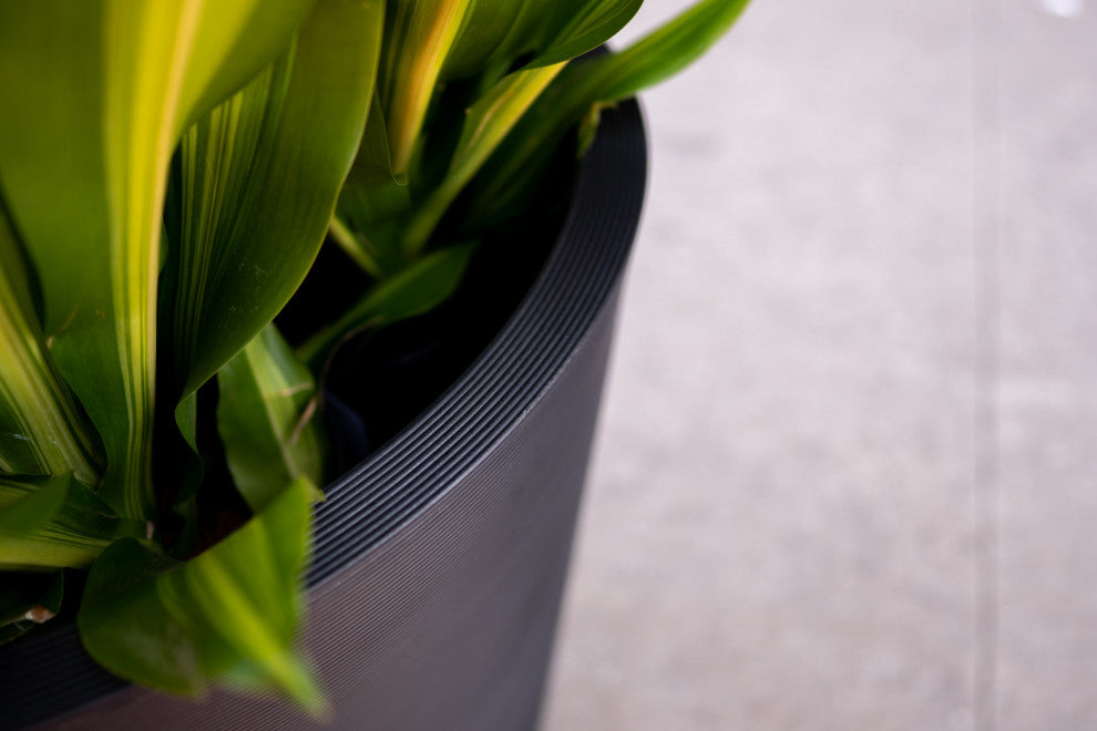 Pro Series Curve Grooved Planter, 30", Black